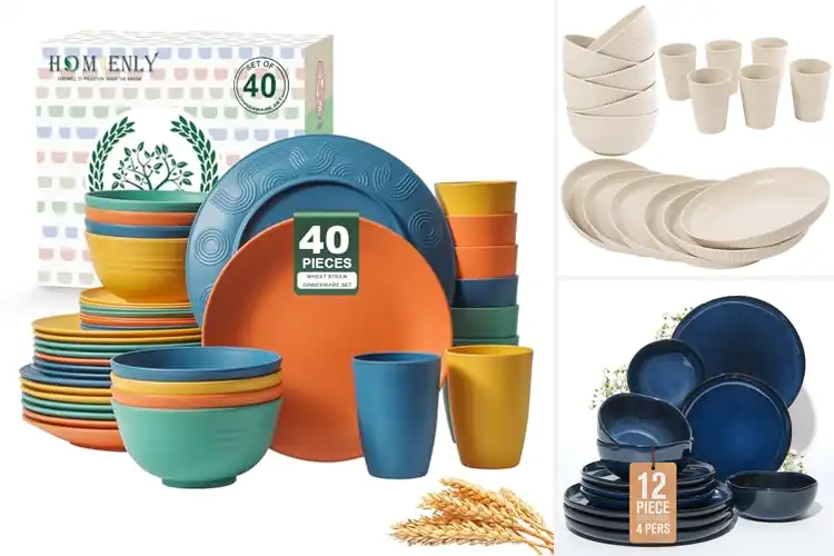 Detailed view of Best Dishwasher Safe Tableware