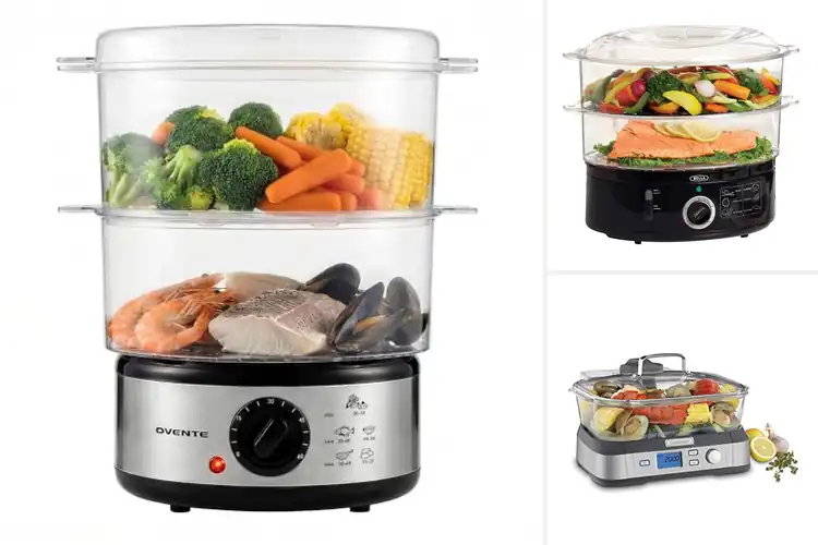 Detailed view of Best Electric Steamers