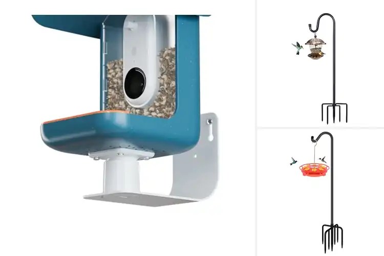 Detailed view of Best Outdoor Feeder Accessories: Top 10 Picks