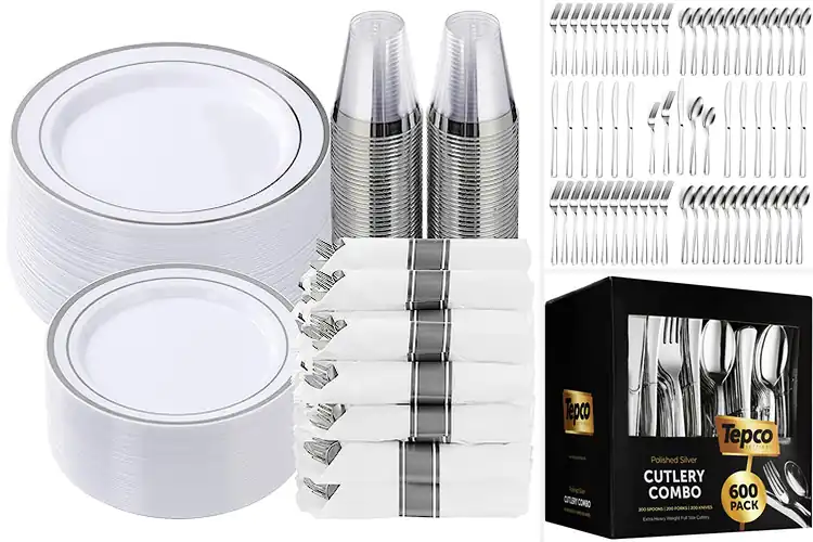Detailed view of Best Party Flatware Sets