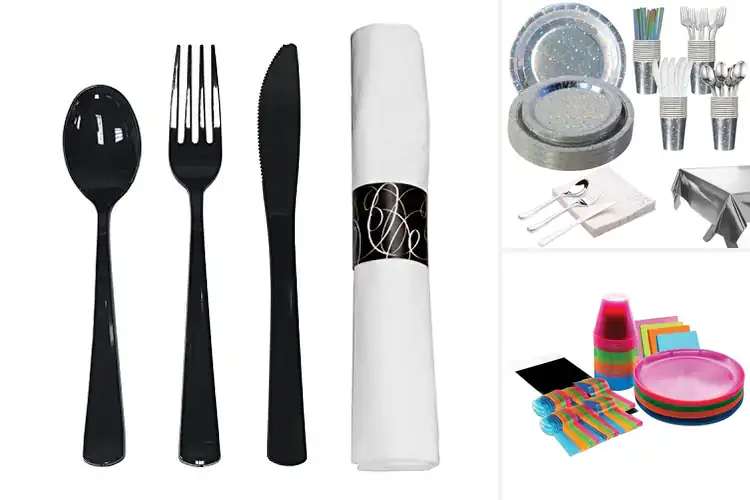 Detailed view of Best Party Tableware Essentials