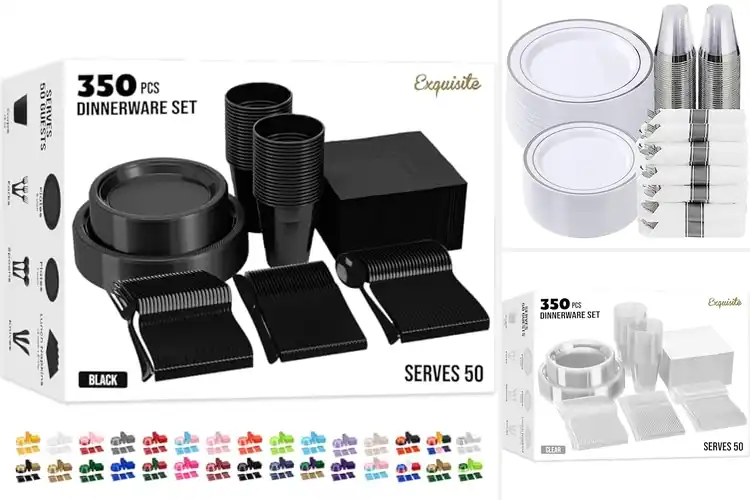 Detailed view of Best Party Tableware Sets